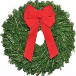 Various Brands 22 inch Fraser Fir Wreath - Décor