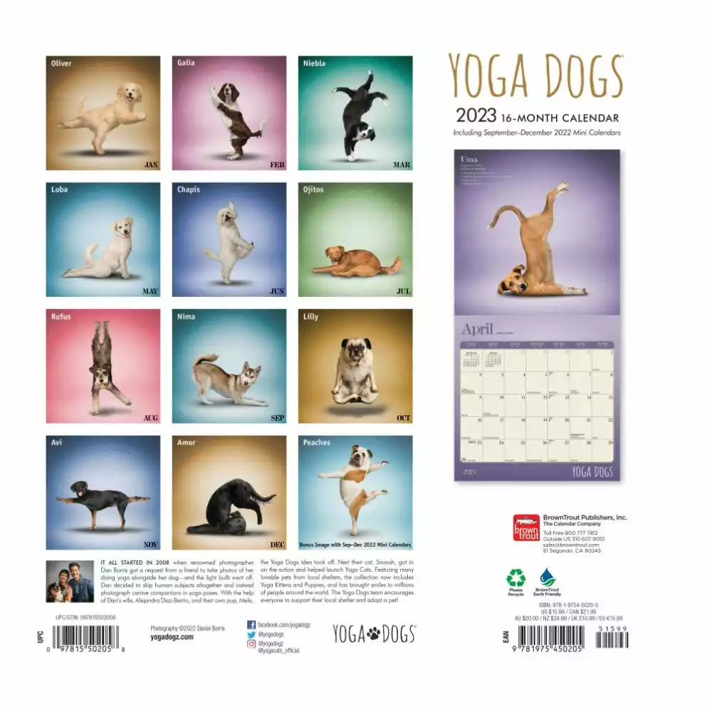 Brown Trout Yoga Dogs 2023 Square Calendar - Calendars 4 Brown Trout Yoga Dogs 2023 Square Calendar - Calendars - Image 2