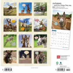 Brown Trout Jackasses 2023 Square Calendar - Calendars 5 Brown Trout Jackasses 2023 Square Calendar - Calendars -Hearth & Home Store ccec38ea21a4891ca3ae5303564f669dd639f48f 2022023818 1