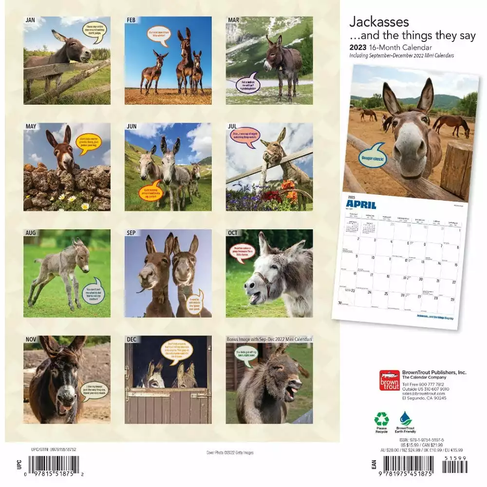 Brown Trout Jackasses 2023 Square Calendar - Calendars 4 Brown Trout Jackasses 2023 Square Calendar - Calendars - Image 2