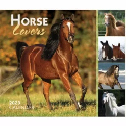 Brown Trout Horse Lovers 2023 Box - Calendars