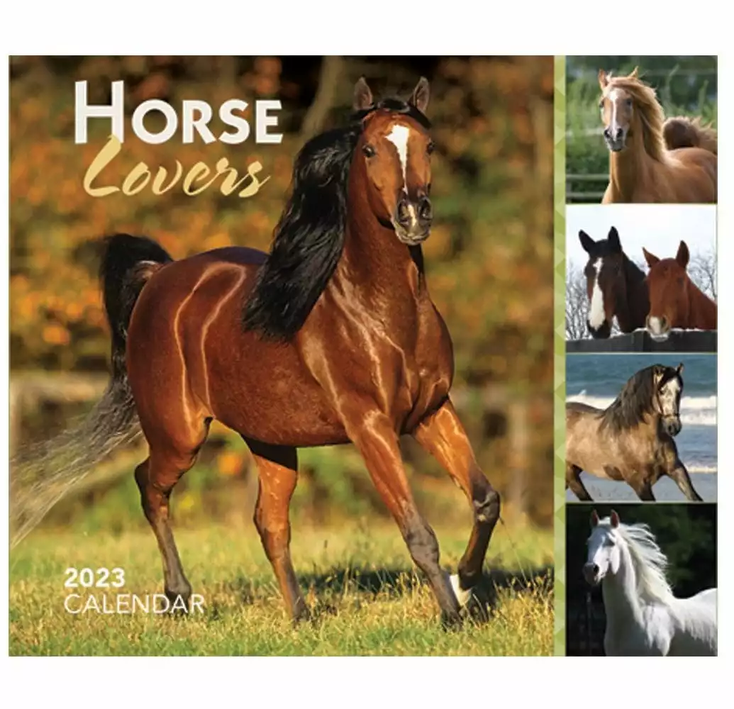 Brown Trout Horse Lovers 2023 Box - Calendars 3 Brown Trout Horse Lovers 2023 Box - Calendars