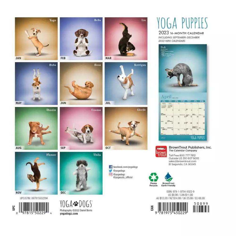 Brown Trout Yoga Puppies 2023 Mini 7x7 Calendar - Calendars 4 Brown Trout Yoga Puppies 2023 Mini 7x7 Calendar - Calendars - Image 2