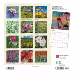 Hearth & Home Store -Hearth & Home Store e6f139764a11c428a164cb2a2aed865be546dc8f 2022023844 1