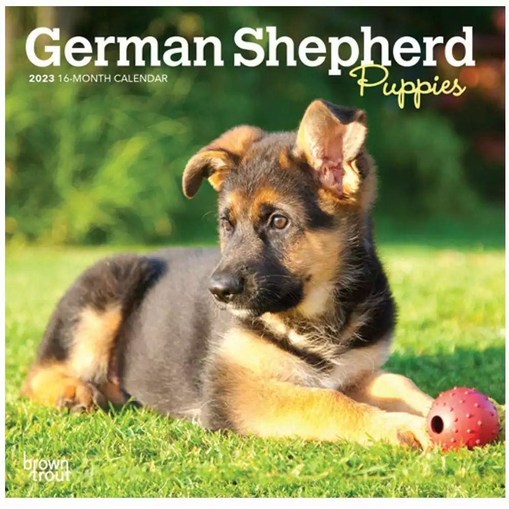 Brown Trout German Shepherd Puppies 2023 Mini 7x7 Calendar - Calendars 3 Brown Trout German Shepherd Puppies 2023 Mini 7x7 Calendar - Calendars