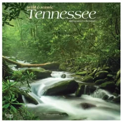 Brown Trout Tennessee Wild & Scenic 2023 Square Calendar - Calendars