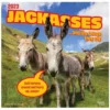 Brown Trout Jackasses 2023 Square Calendar - Calendars -Hearth & Home Store f733debea57dc707414cd49e79e7c7a532b57337 2022023818
