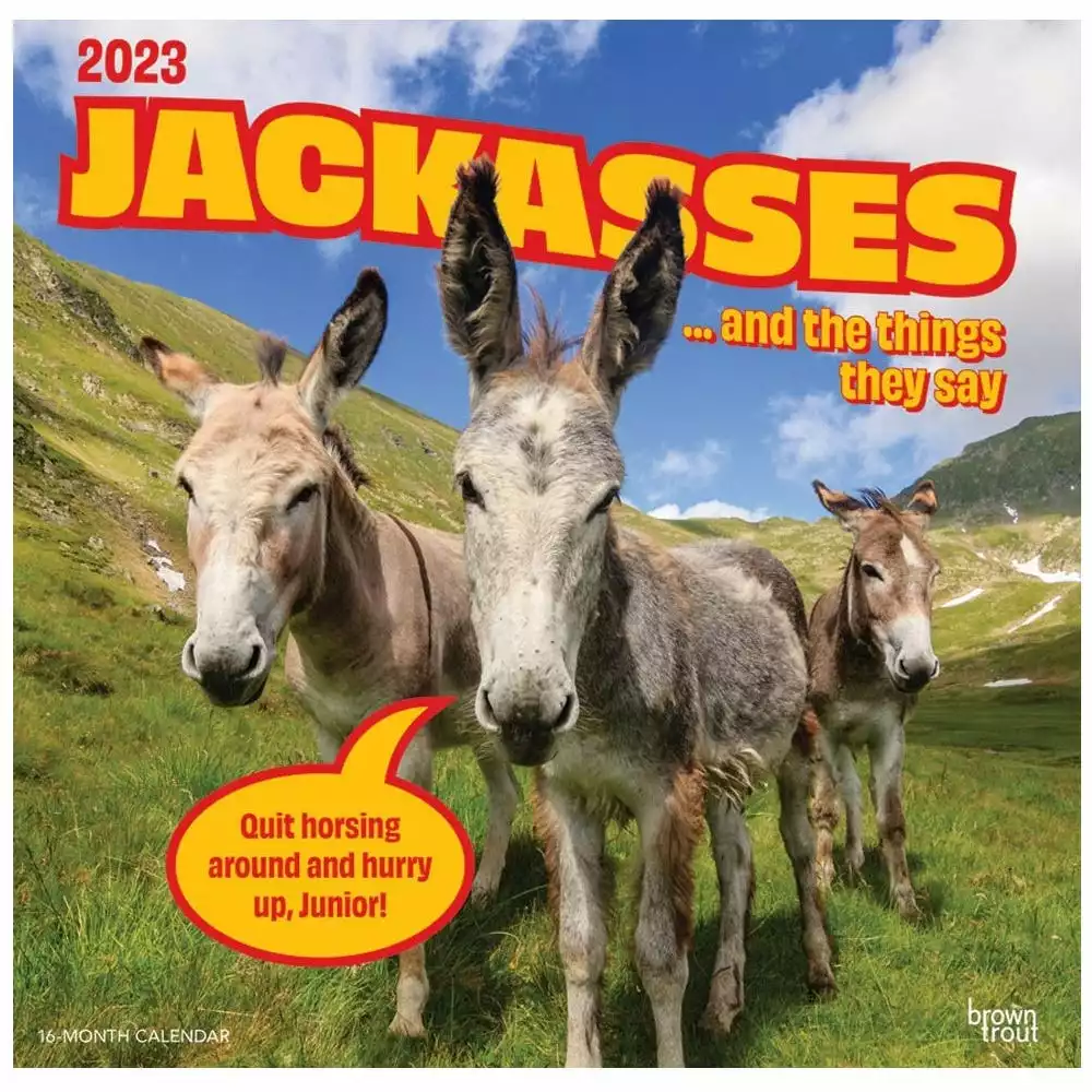Brown Trout Jackasses 2023 Square Calendar - Calendars 3 Brown Trout Jackasses 2023 Square Calendar - Calendars